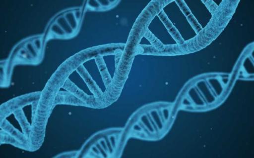 DNA-forskning med Disgen
