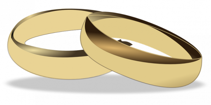 Handledning Disgen - relation symboliserad av två ringar.