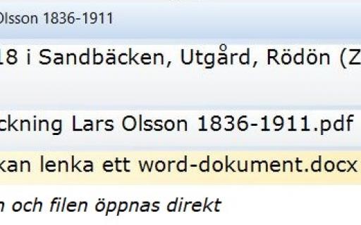 Disgen 2023 levnadsbeskrivningen