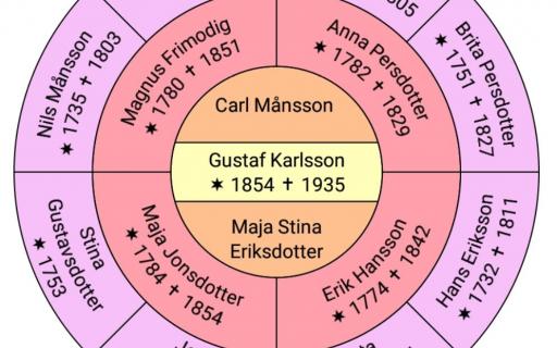 Valkommen Till Foreningen Dis
