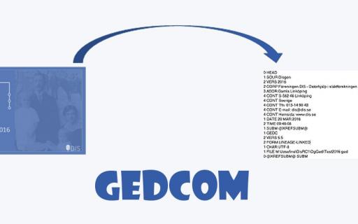 Handledning - Export till Gedcom