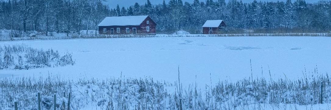 Dis - Släktforskning - Frusen sjö med snötäcke och en lada i bakgrunden.